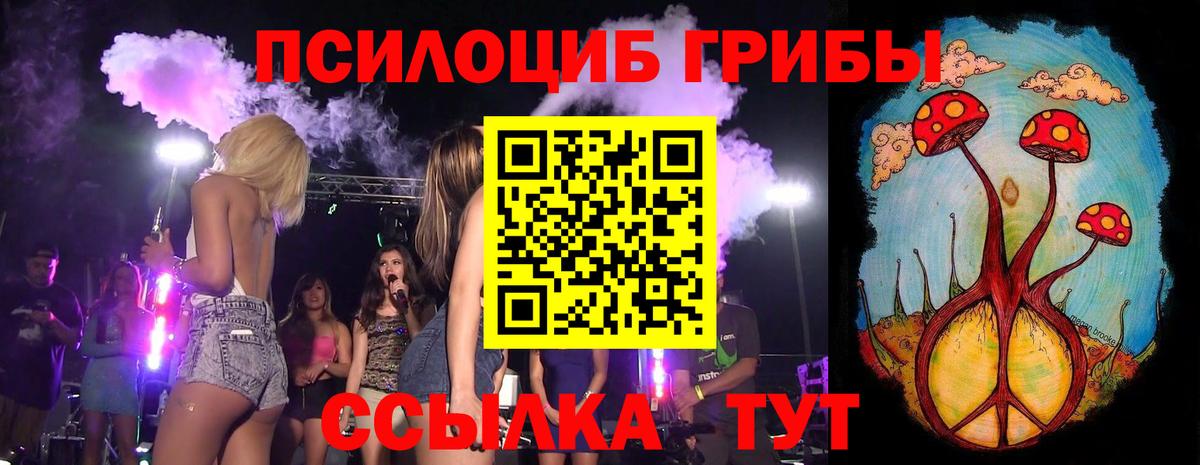 Киселёвск  Галлюциногенные грибы Psilocybe  Вход с VPN  Псилоцибиновые грибы Cubensis 