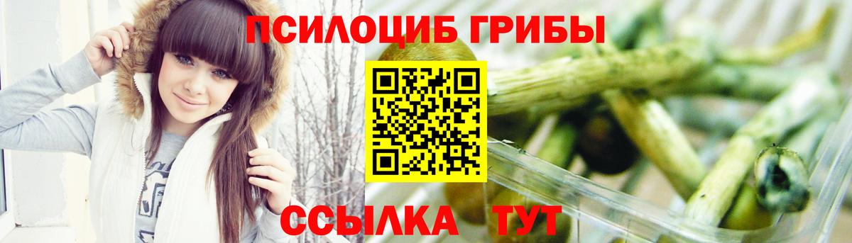 Псилоцибиновые грибы Magic Shrooms Киселёвск